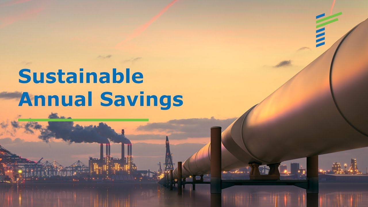 Sustainable Annual Savings for a Natural Gas Plant Renoir Consulting